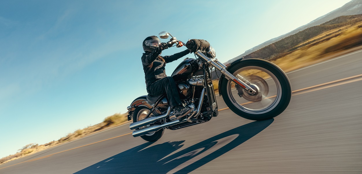 2024 Harley-Davidson® Softail® Standard near Monkton, MD